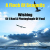 Wishing (If I Had a Photograph of You)