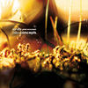 Dewdrop