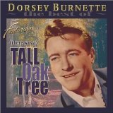 Tall Oak Tree