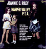 Harper Valley PTA