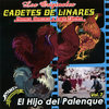 El hijo del palenque
