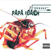 Between Angels and Insects