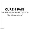 Pictures of You (remix)